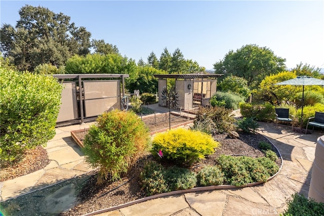 view of yard with a patio