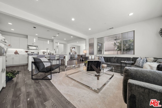 living room featuring wood-type flooring