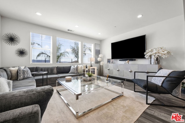 living room with wood-type flooring