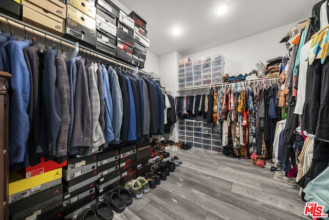 walk in closet with wood-type flooring