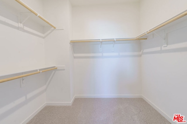 walk in closet with carpet