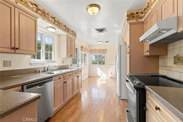 kitchen with plenty of natural light, light hardwood / wood-style floors, sink, and appliances with stainless steel finishes