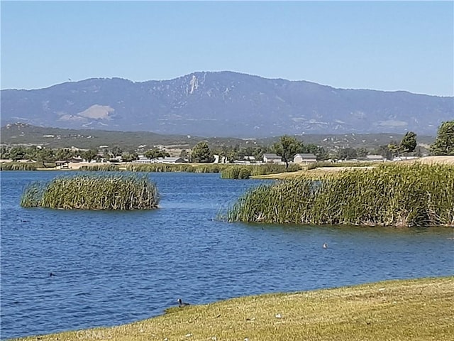 41300 Rocky Valley Way, Aguanga, CA 92536 - photo 15