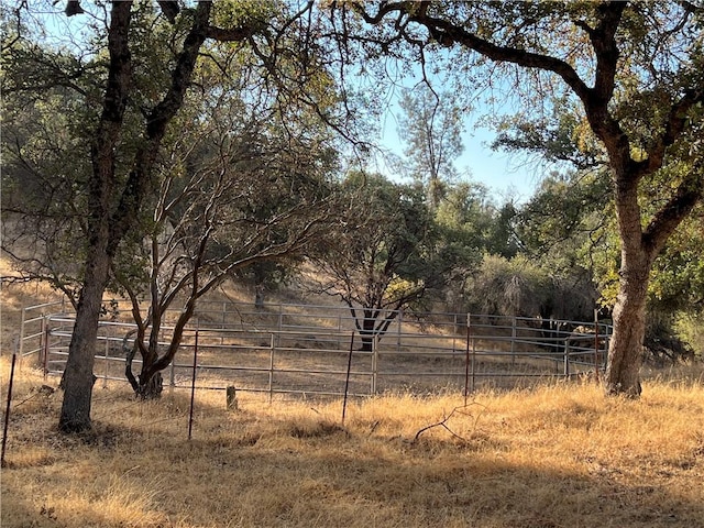 view of landscape with a rural view