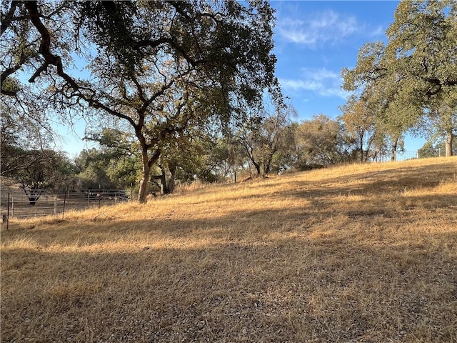 view of nature with a rural view