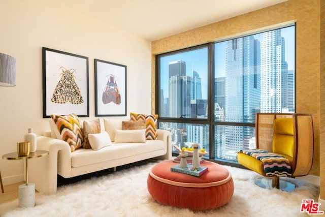 living area featuring a wealth of natural light