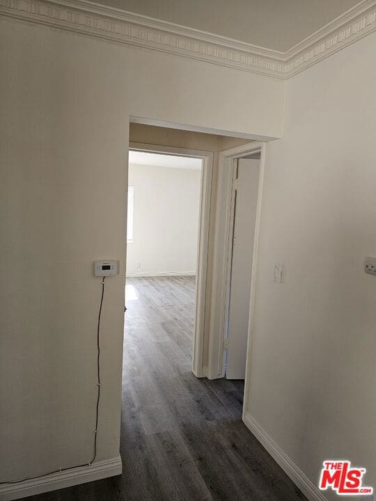 hall featuring dark wood-type flooring and crown molding