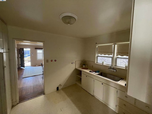 bathroom with ornamental molding, a healthy amount of sunlight, and sink