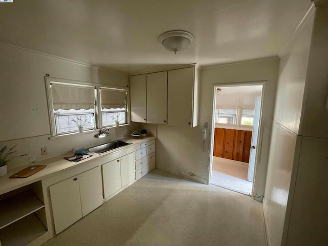 kitchen with sink and ornamental molding