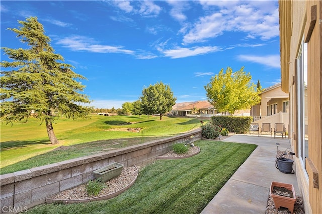 view of yard with a patio