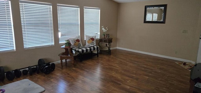 sitting room featuring dark hardwood / wood-style flooring and plenty of natural light