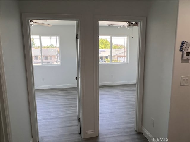 corridor with wood-type flooring and a wealth of natural light