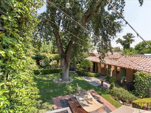 view of yard featuring a patio