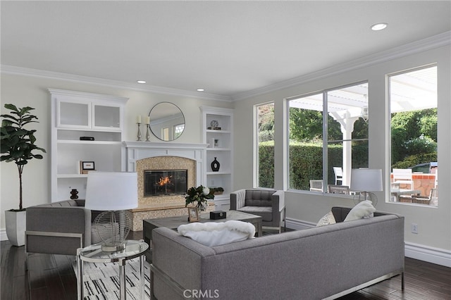 living room with ornamental molding, dark hardwood / wood-style flooring, and a premium fireplace