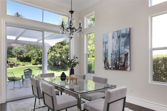 dining room featuring an inviting chandelier, wood-type flooring, and a wealth of natural light