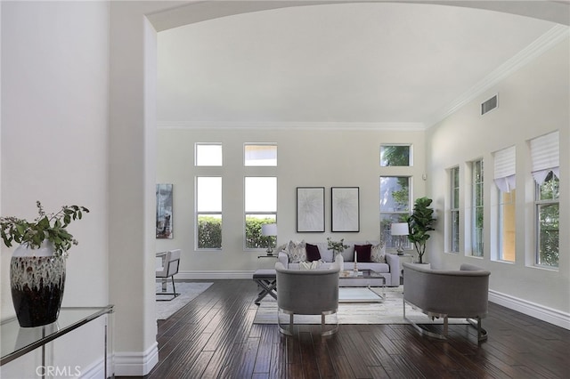 living room featuring crown molding and dark hardwood / wood-style flooring