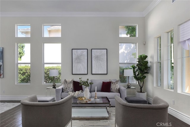 living room with hardwood / wood-style floors, crown molding, and a wealth of natural light