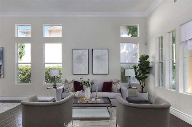 living room featuring ornamental molding and dark hardwood / wood-style floors