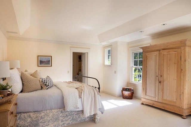 carpeted bedroom with a raised ceiling