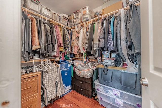 walk in closet with wood-type flooring