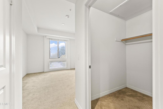 walk in closet with light carpet