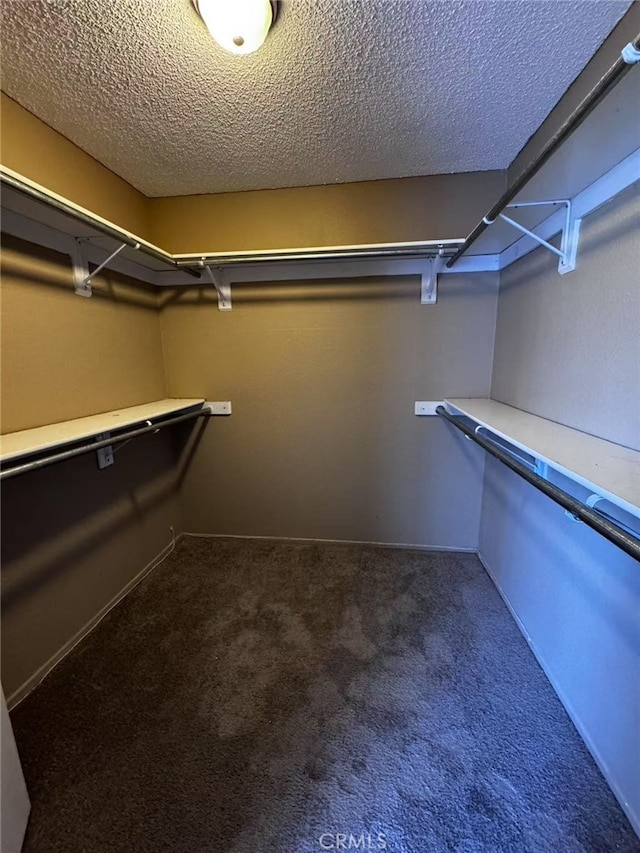 spacious closet featuring carpet floors