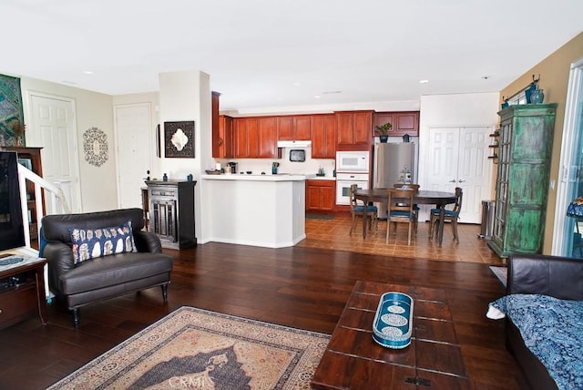 living room with dark wood-type flooring