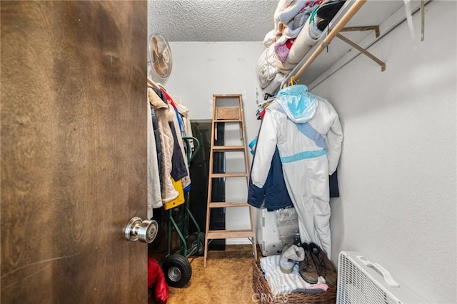 spacious closet featuring carpet