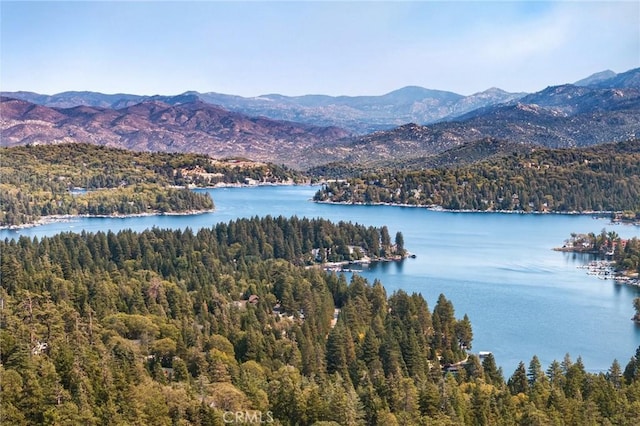 property view of water with a view of trees and a mountain view