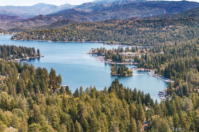 property view of water with a mountain view