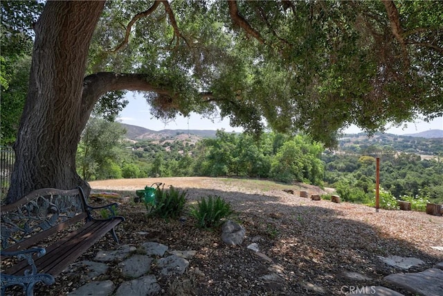 view of yard with a mountain view