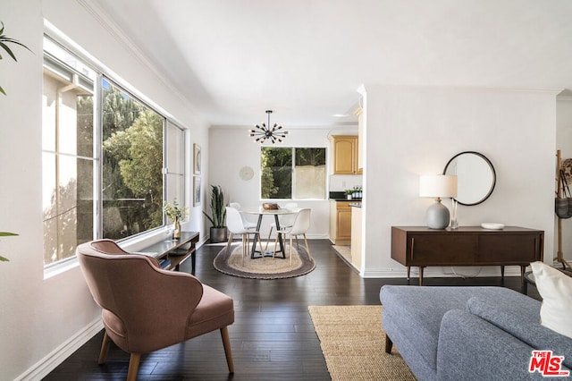 living room with a chandelier, crown molding, plenty of natural light, and dark wood-type flooring