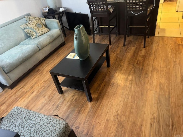 living room with wood-type flooring