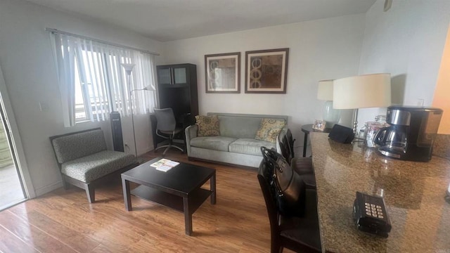 living room with wood-type flooring