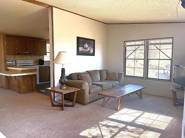 living room with lofted ceiling, light colored carpet, and a textured ceiling