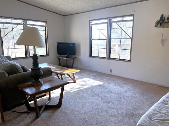 carpeted living room featuring a textured ceiling and lofted ceiling