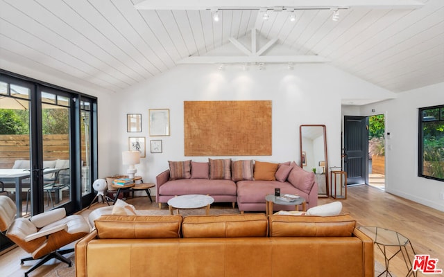 living room featuring rail lighting, light hardwood / wood-style floors, and lofted ceiling