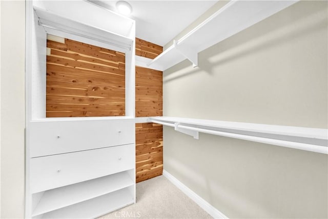 spacious closet featuring carpet floors