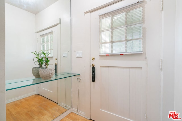 entryway with wood-type flooring and plenty of natural light