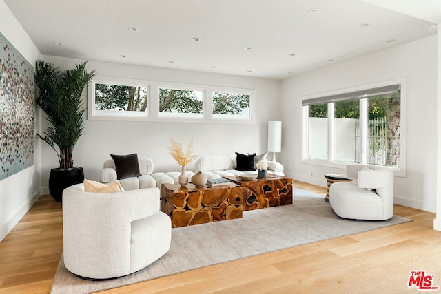 living room featuring light wood-type flooring