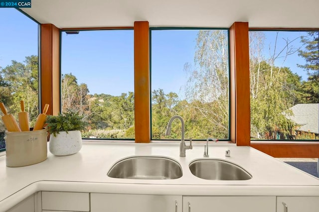 kitchen featuring plenty of natural light, white cabinetry, and sink