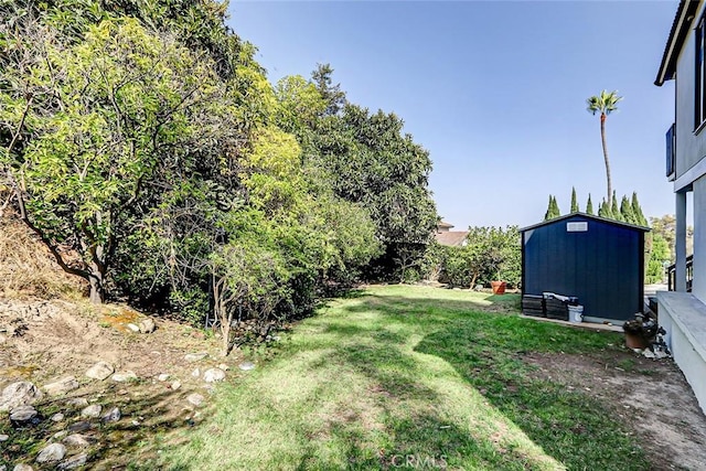 view of yard with a storage unit