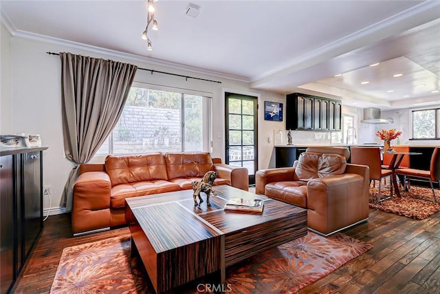 living room featuring dark hardwood / wood-style floors, crown molding, and sink