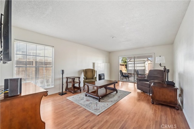 living room with a textured ceiling and light hardwood / wood-style flooring