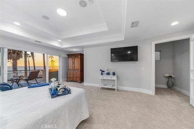 bedroom featuring light carpet and a raised ceiling