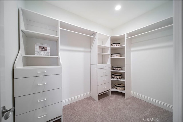 spacious closet featuring light carpet