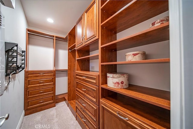 walk in closet with light colored carpet