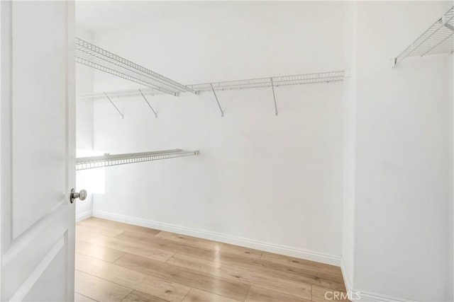 walk in closet featuring hardwood / wood-style flooring