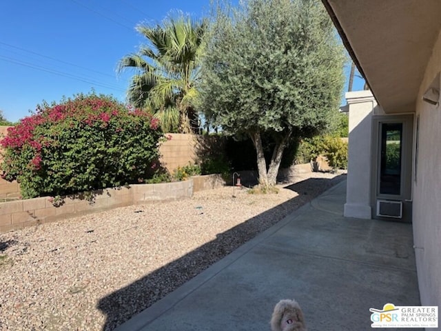 view of yard with a patio