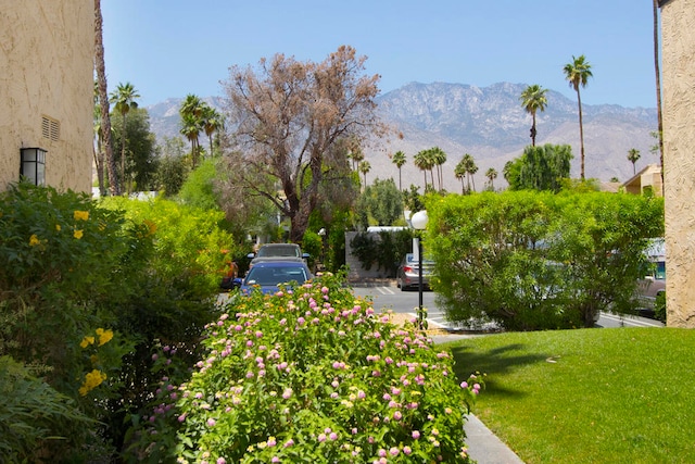 view of home's community featuring a lawn and a mountain view